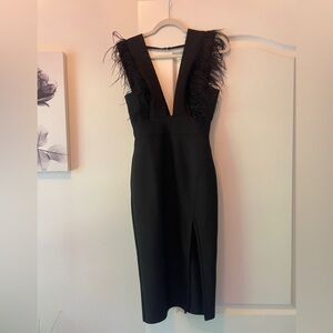 Fashion Nova Black Dress with Feather Detail